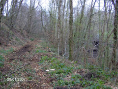 
Halls Road Tramroad to viaduct, Cwmcarn, January 2007